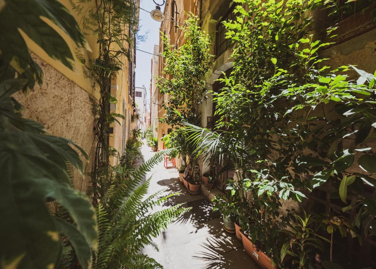 Appartamento Maestrale - Quartiere Castello Cagliari Bagian luar foto